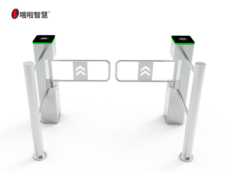 立式小擺閘